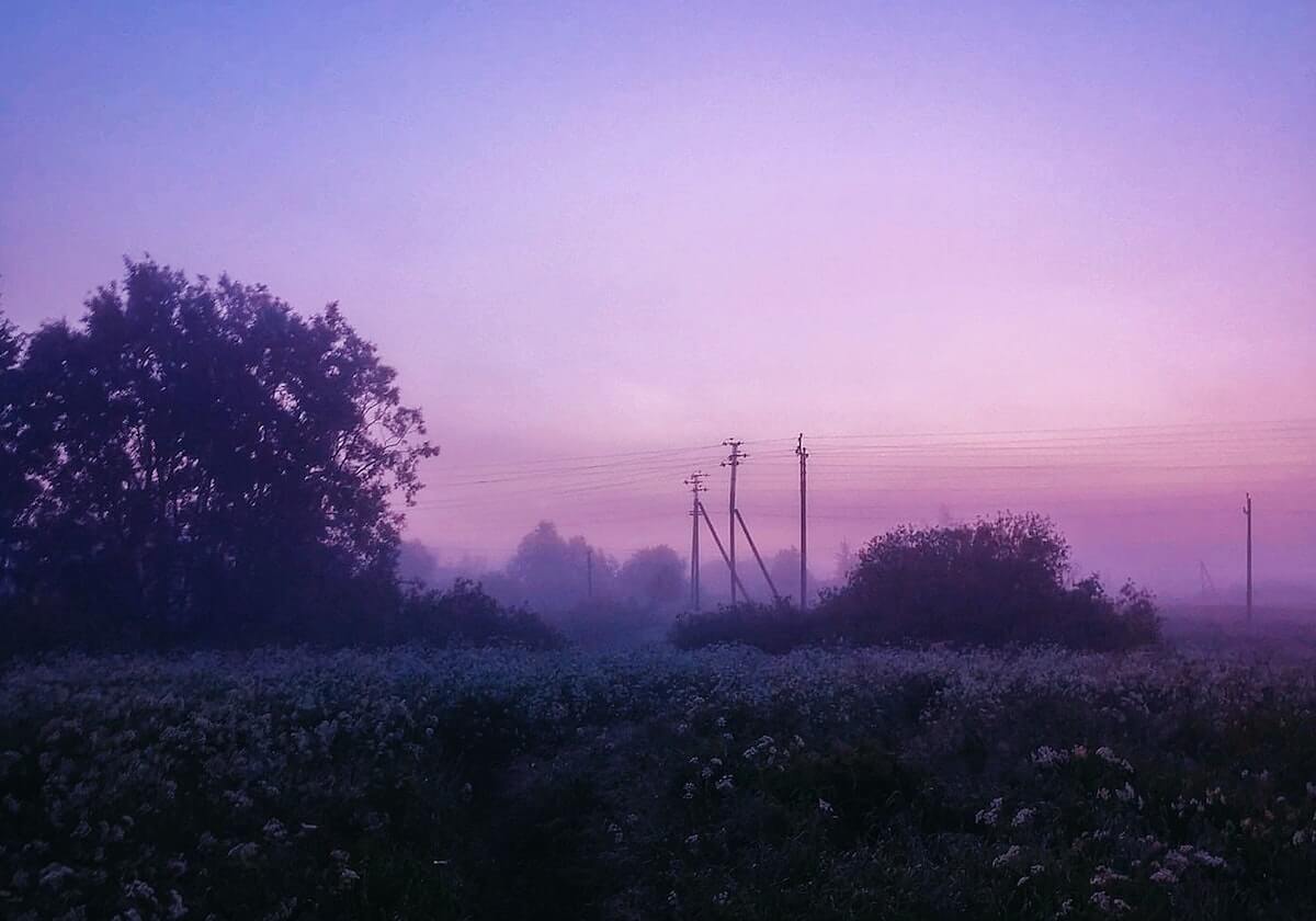 搜狐体育官方-蔡佳云和王蒙将担任冬残奥会中国代表团闭幕式旗手
